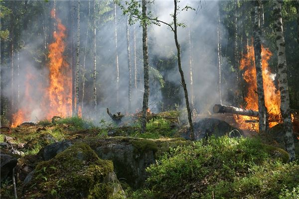 梦见山上着火了是什么征兆