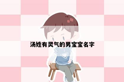 汤姓有灵气的男宝宝名字