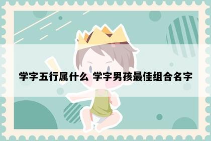 学字五行属什么 学字男孩最佳组合名字